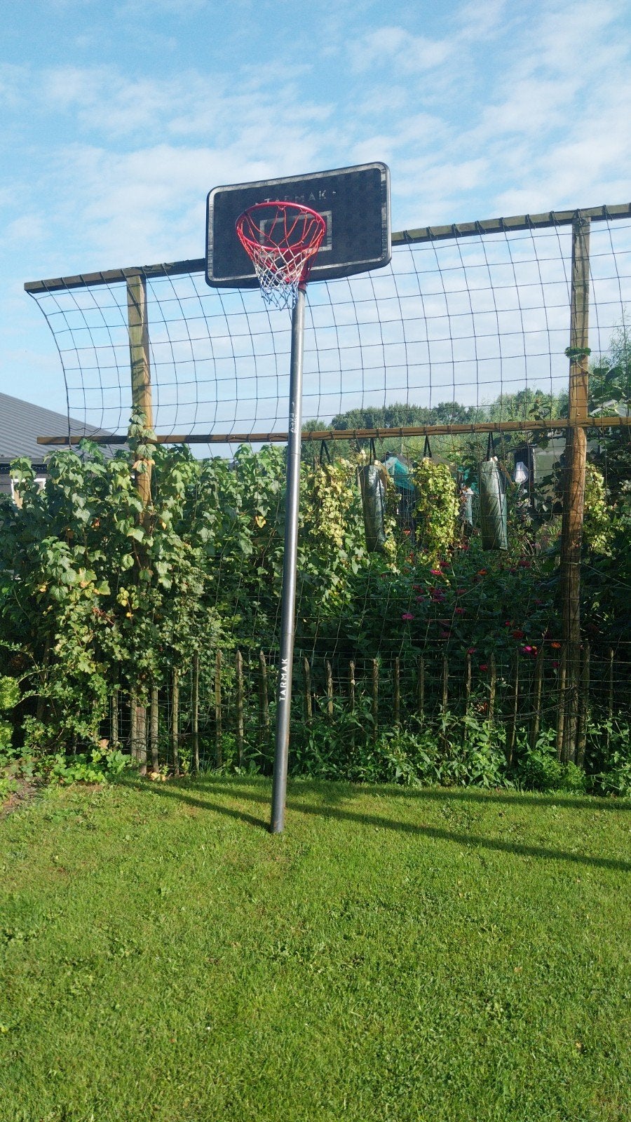 Basketbalring met paal - Tarmak, Sport en Fitness, Ophalen of Verzenden, Gebruikt, Ring, Bord of Paal