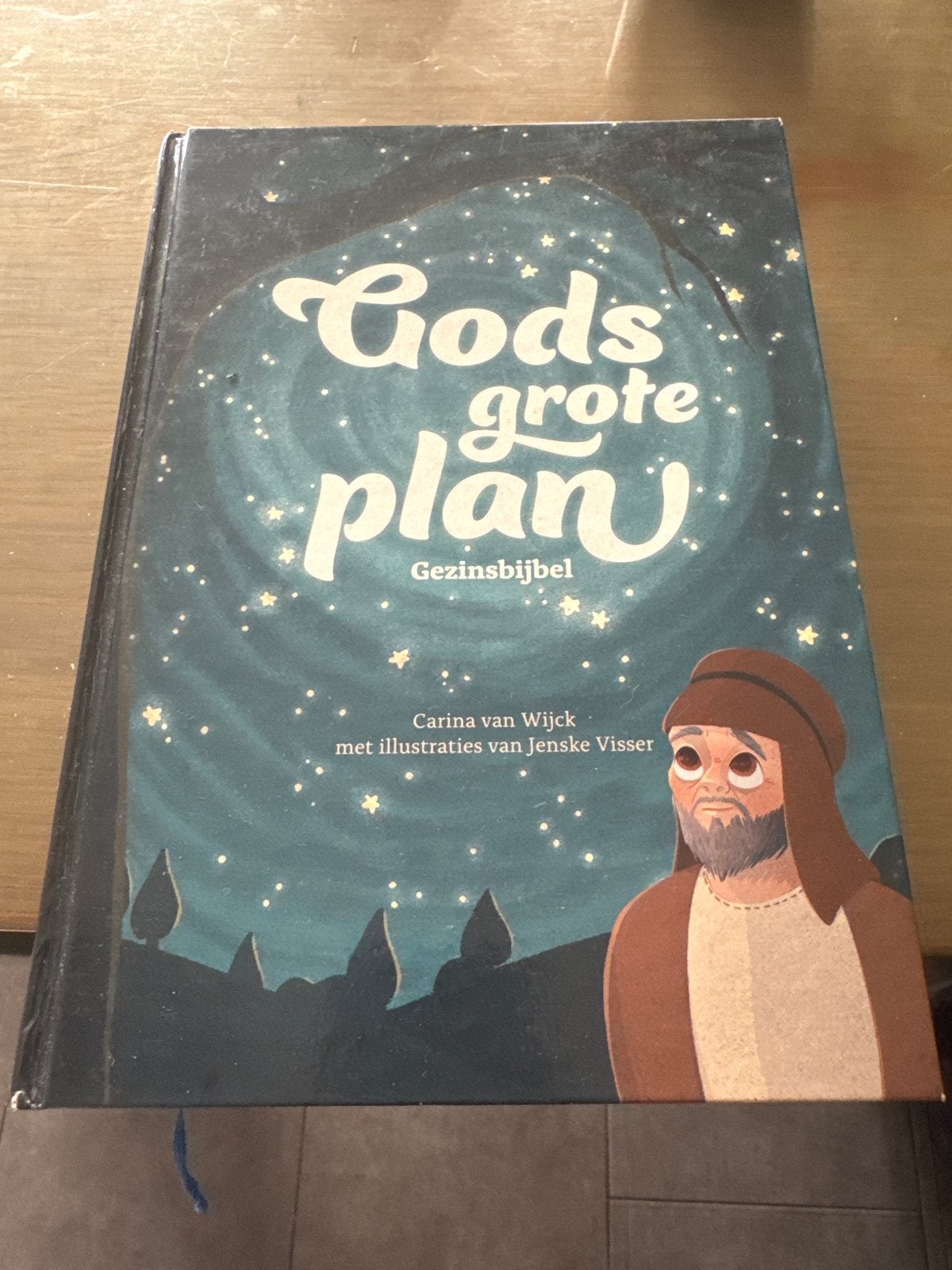 Gods Grote Plan - Gezinsbijbel (Carina van Wijck), Antiek en Kunst, Antiek | Boeken en Bijbels, Ophalen of Verzenden