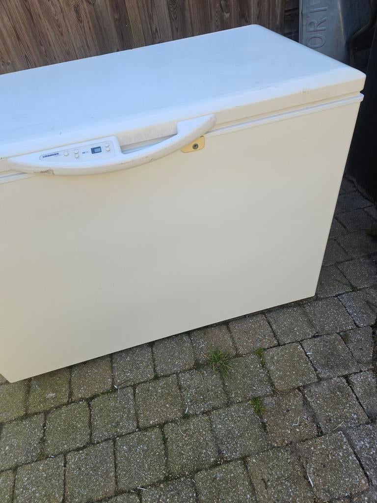 Liebherr diepvries vrieskist A+ in nieuwe staat., Ophalen, Gebruikt, Minder dan 85 cm, 200 liter of meer
