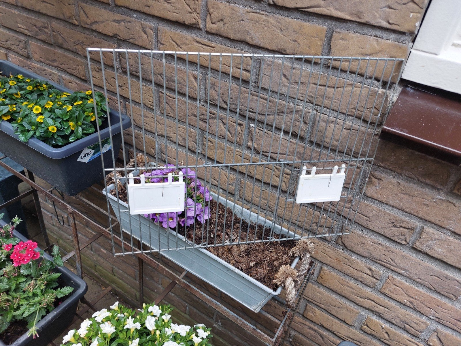 10 nette tralies 40 x 30, Dieren en Toebehoren, Vogels | Hokken en Kooien, Ophalen, Gebruikt, Broedkooi of Kweekkooi