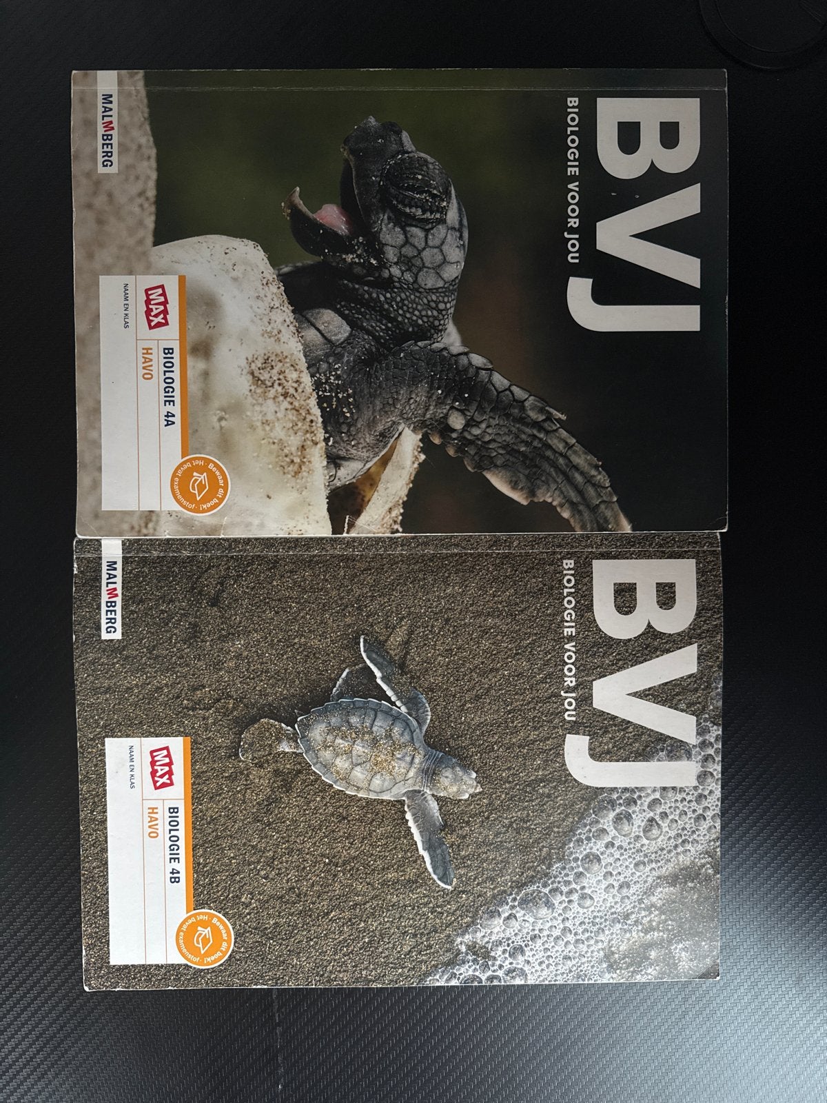 BVJ Biologie voor jou 4A en 4B HAVO - Malmberg, Ophalen of Verzenden, Zo goed als nieuw, HAVO, Biologie