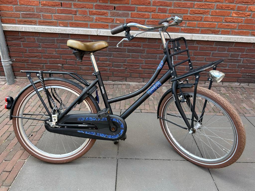 Alpina Cargo fiets met voordrager, Ophalen, Zo goed als nieuw, Handrem