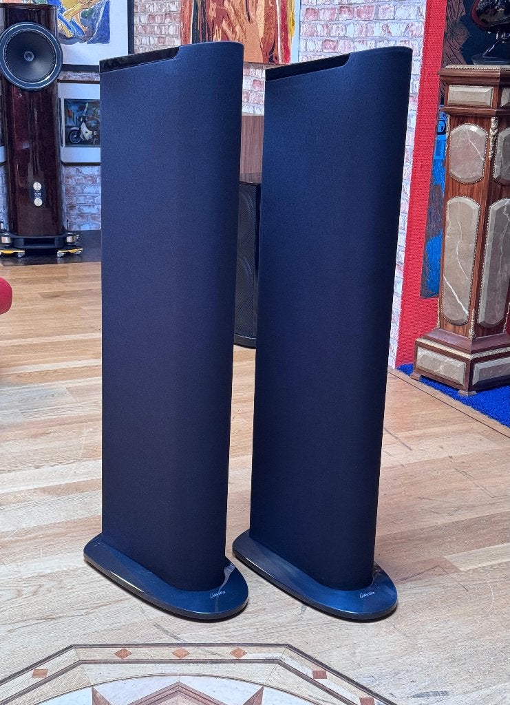 GoldenEar Triton Two, Vloerstaande luidspreker, Gebruikt, Ophalen, 150 watt of meer