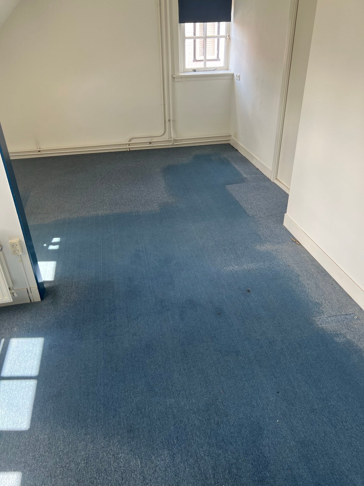 Gratis af te halen: Blauw kortpolig tapijt (6.5x3.3m), Ophalen, Gebruikt, Blauw, 200 cm of meer