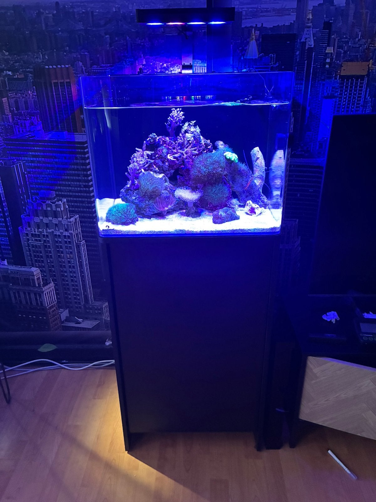 Mooie Blue marine reef 90 aquarium inclusief kast gevuld, Ophalen, Gevuld zeewateraquarium, Zo goed als nieuw, Blue Marine