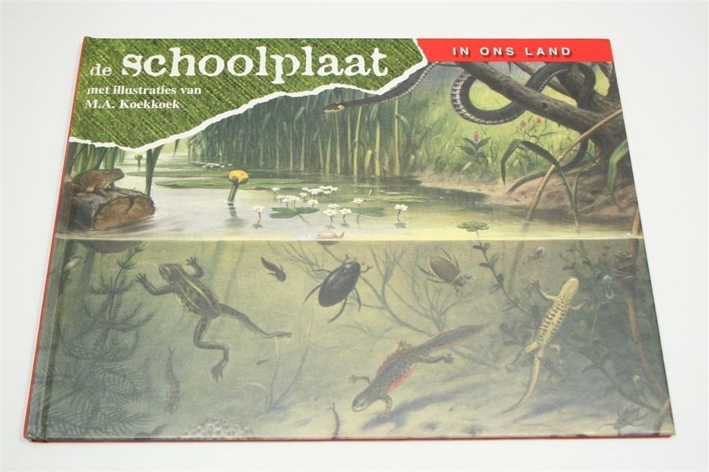 De Schoolplaat — In Ons Land — M.A. Koekkoek — Natuur, Boeken, Ophalen of Verzenden, Zo goed als nieuw