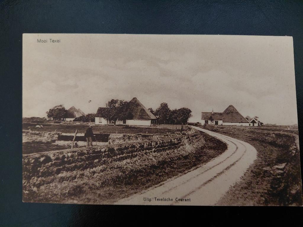 Mooi Texel, landweg met Boerderijen, ongelopen,, Verzenden, 1920 tot 1940, Ongelopen, Waddeneilanden