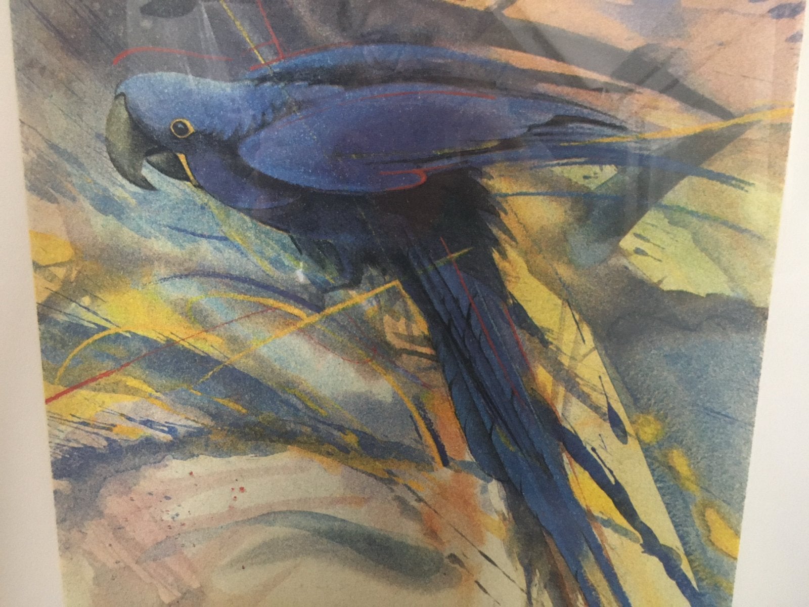 Walty Dudok van Heel - Ara (Litho, gesigneerd, ingelijst), Antiek en Kunst, Kunst | Litho's en Zeefdrukken, Gelimiteerde oplage