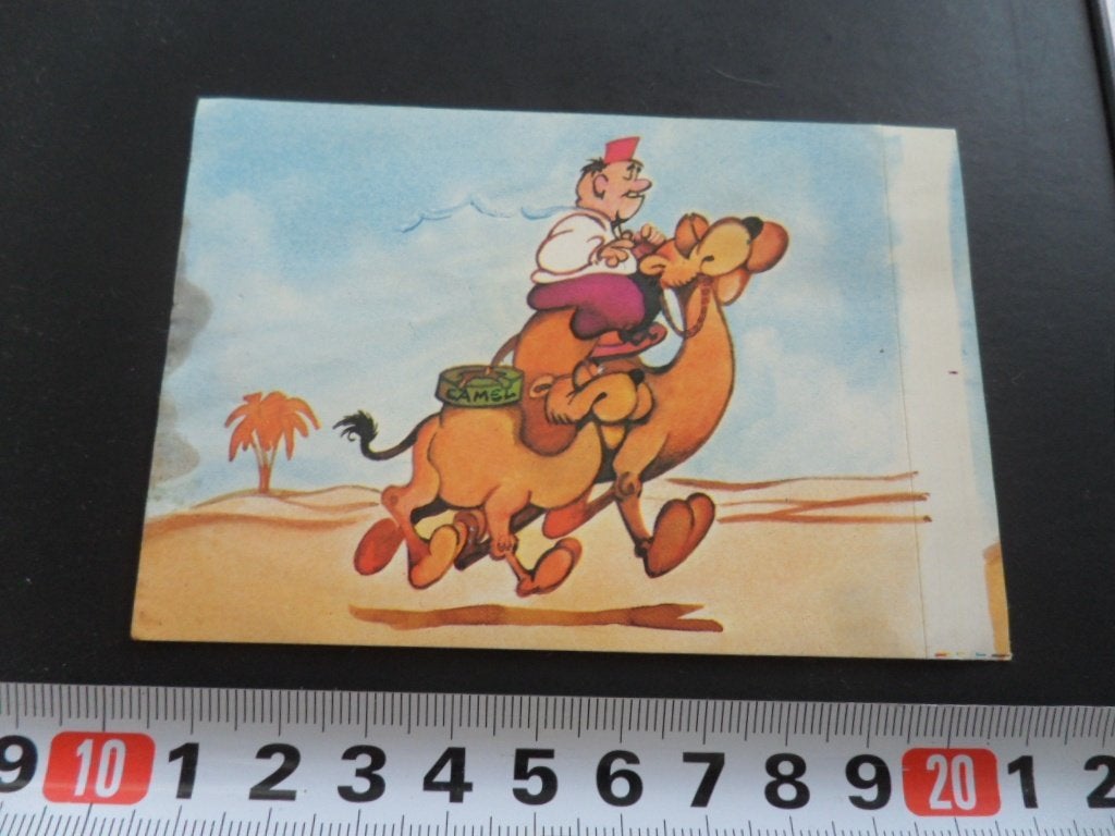 sticker CAMEL Kameel *, Ophalen of Verzenden, Zo goed als nieuw