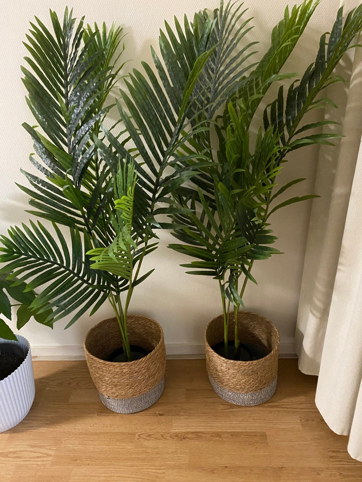 2 grote kunstplanten, Ophalen, Halfschaduw, Minder dan 100 cm