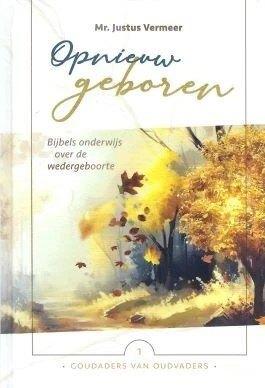 Vermeer J. Opnieuw geboren, Ophalen of Verzenden, Zo goed als nieuw, Justus Vermeer, Christendom | Protestants