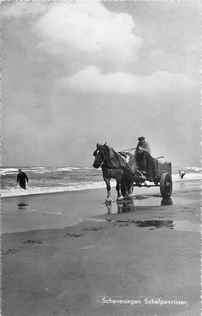381-033-013 Scheveningen Schelpenvisser, Verzenden, Voor 1920, Zuid-Holland