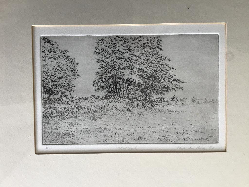 Reijk den Held ets, Ingelijst, Ophalen of Verzenden, 12 cm, Landschap