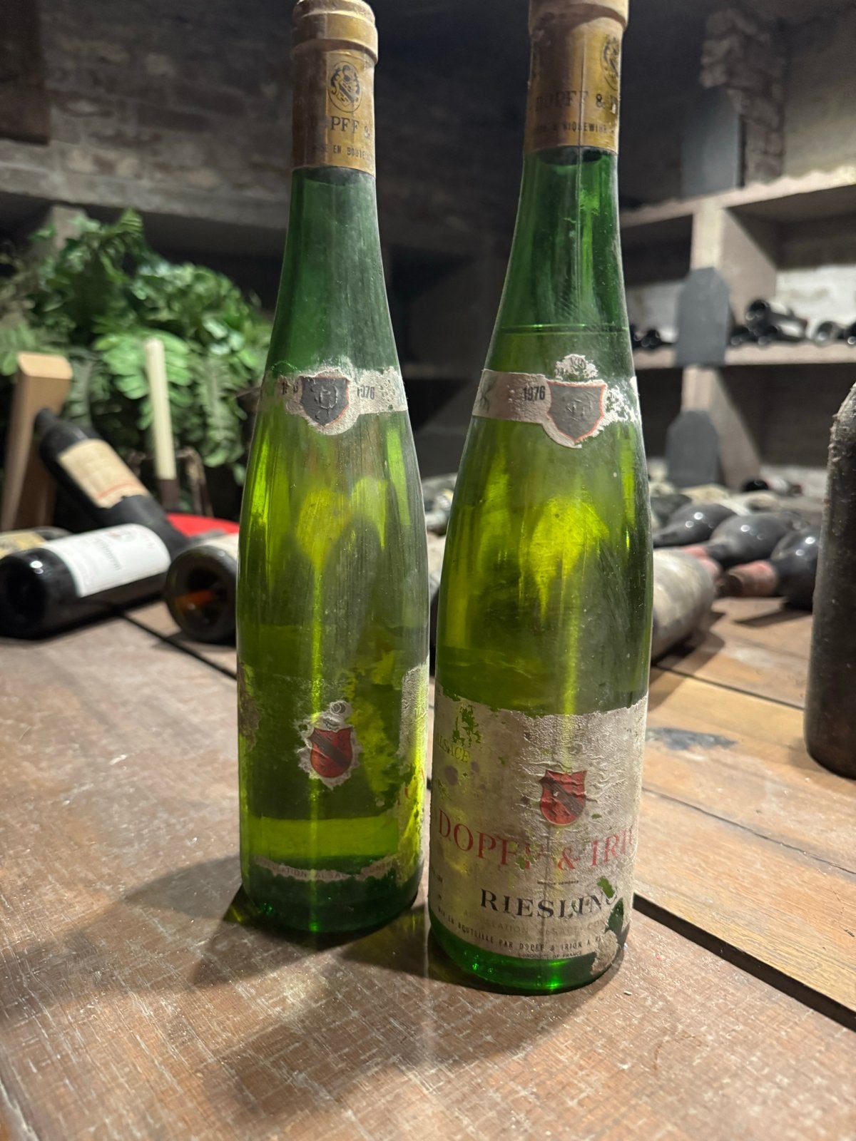 2 flessen Dopff&Irion Riesling 1976 Alsace uit wijnkelder, Gebruikt, Frankrijk, Ophalen of Verzenden, Witte wijn