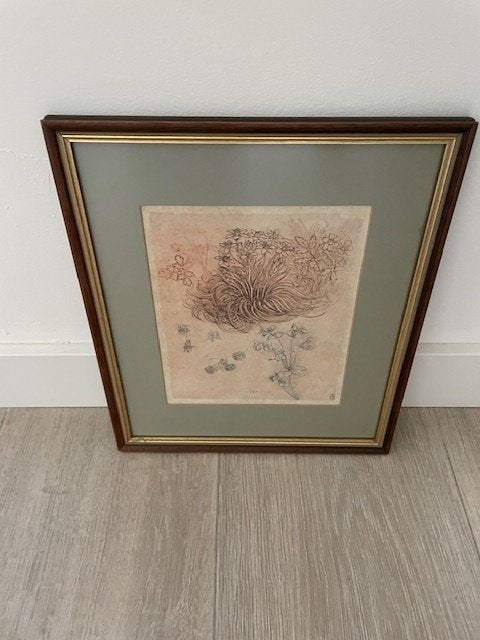Kopie van Leonardo da Vinci tekening: Star of Bethlehem, Bloemen, Ingelijst, Ophalen of Verzenden, Tekening