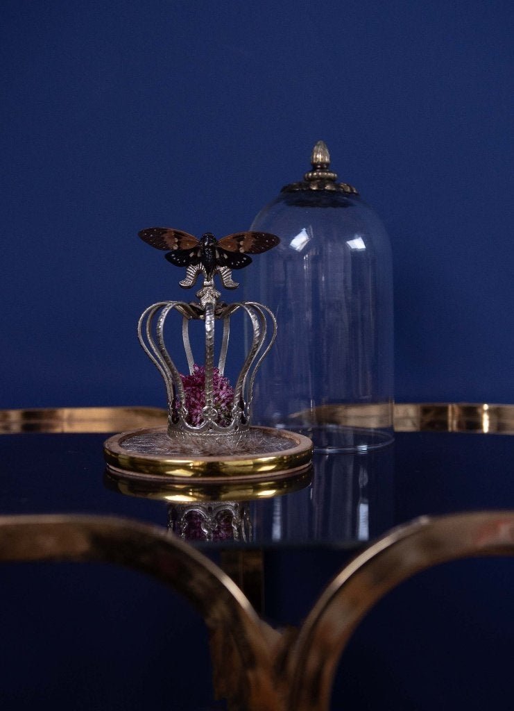 Stolp met cikade op kroon, Ophalen of Verzenden, Nieuw, Insect, Opgezet dier