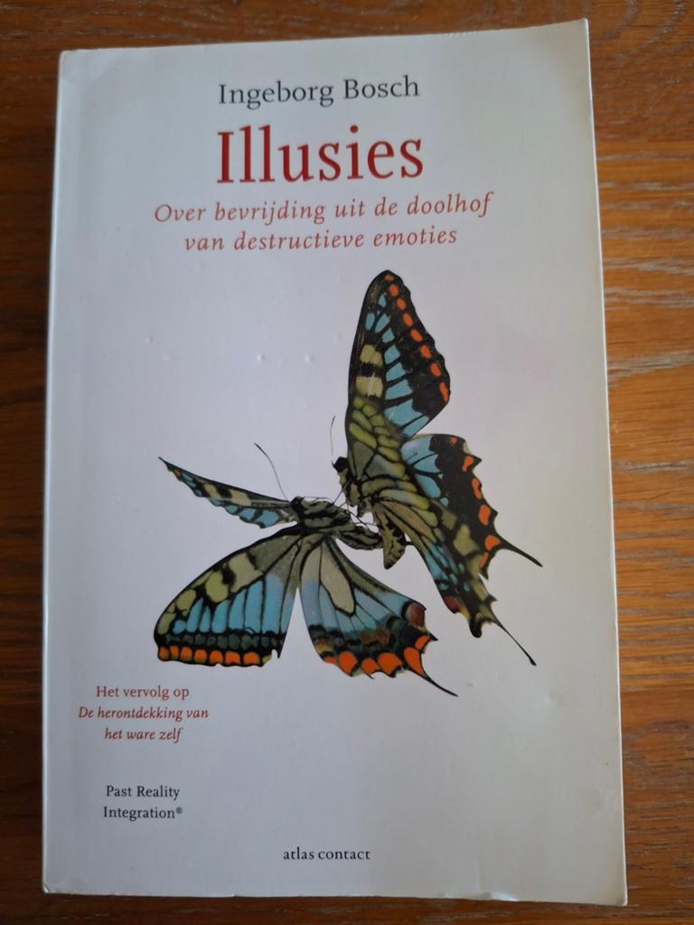 Ingeborg Bosch - Illusies, Ophalen of Verzenden, Gelezen, Ingeborg Bosch, Nederland