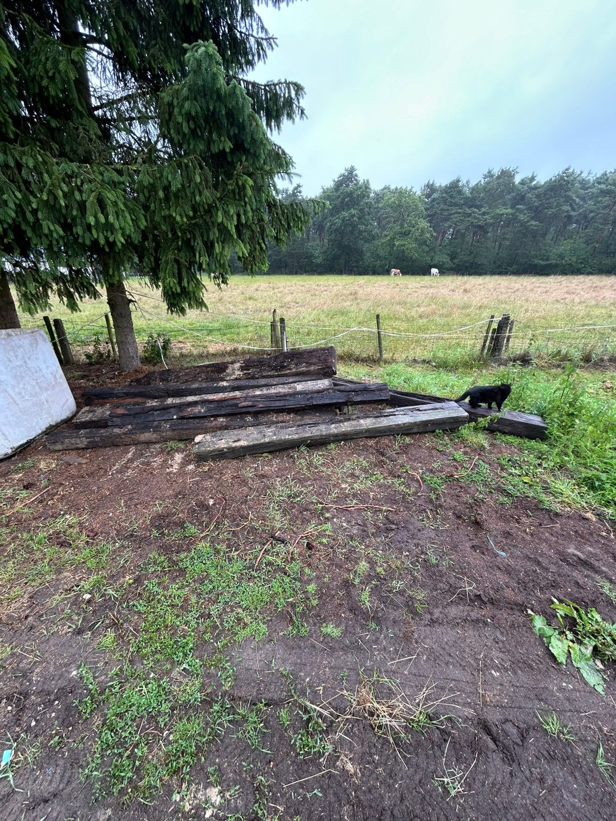 Spoorbielzen gebruikt, Tuin en Terras, Bielzen en Borders, Ophalen, Gebruikt, 25 tot 50 cm, Biels