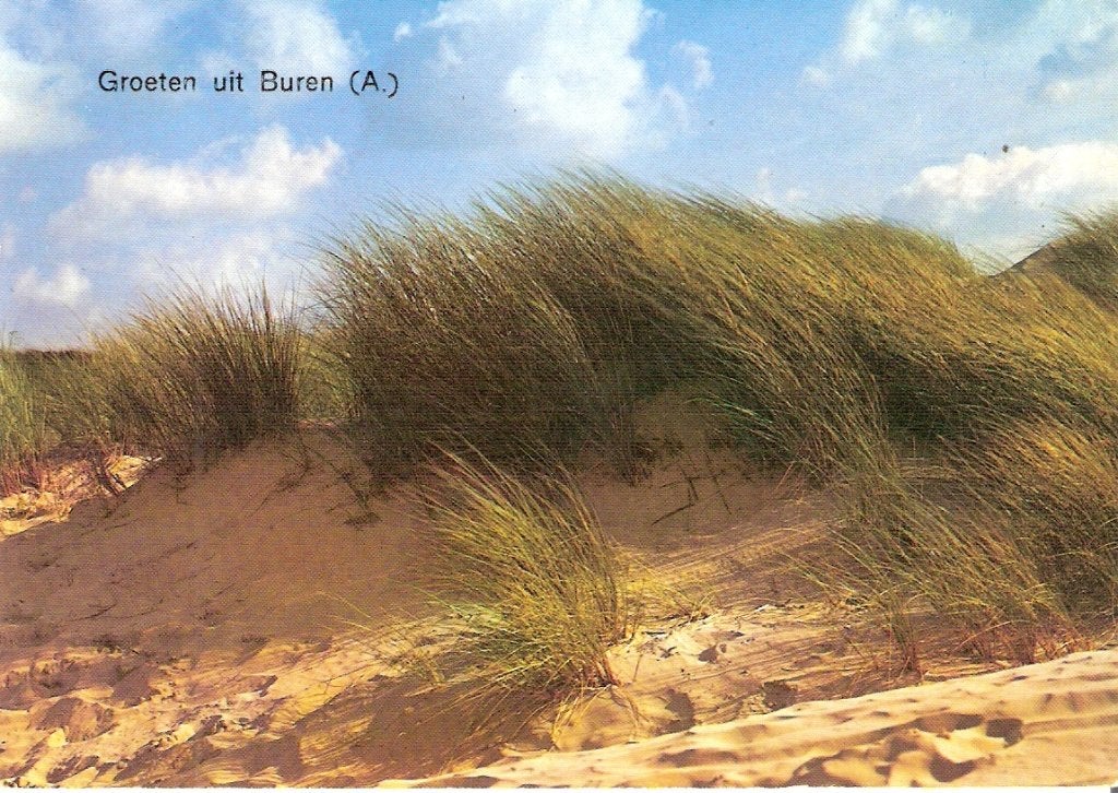 Ameland   #75a, Ophalen of Verzenden, Voor 1920, Waddeneilanden