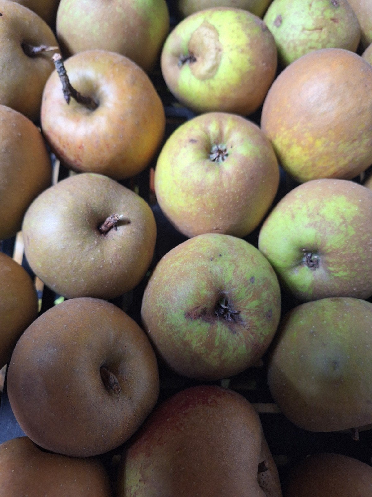 Te koop onbespoten appels en handperen o.a. goudreinet, seed, Ophalen