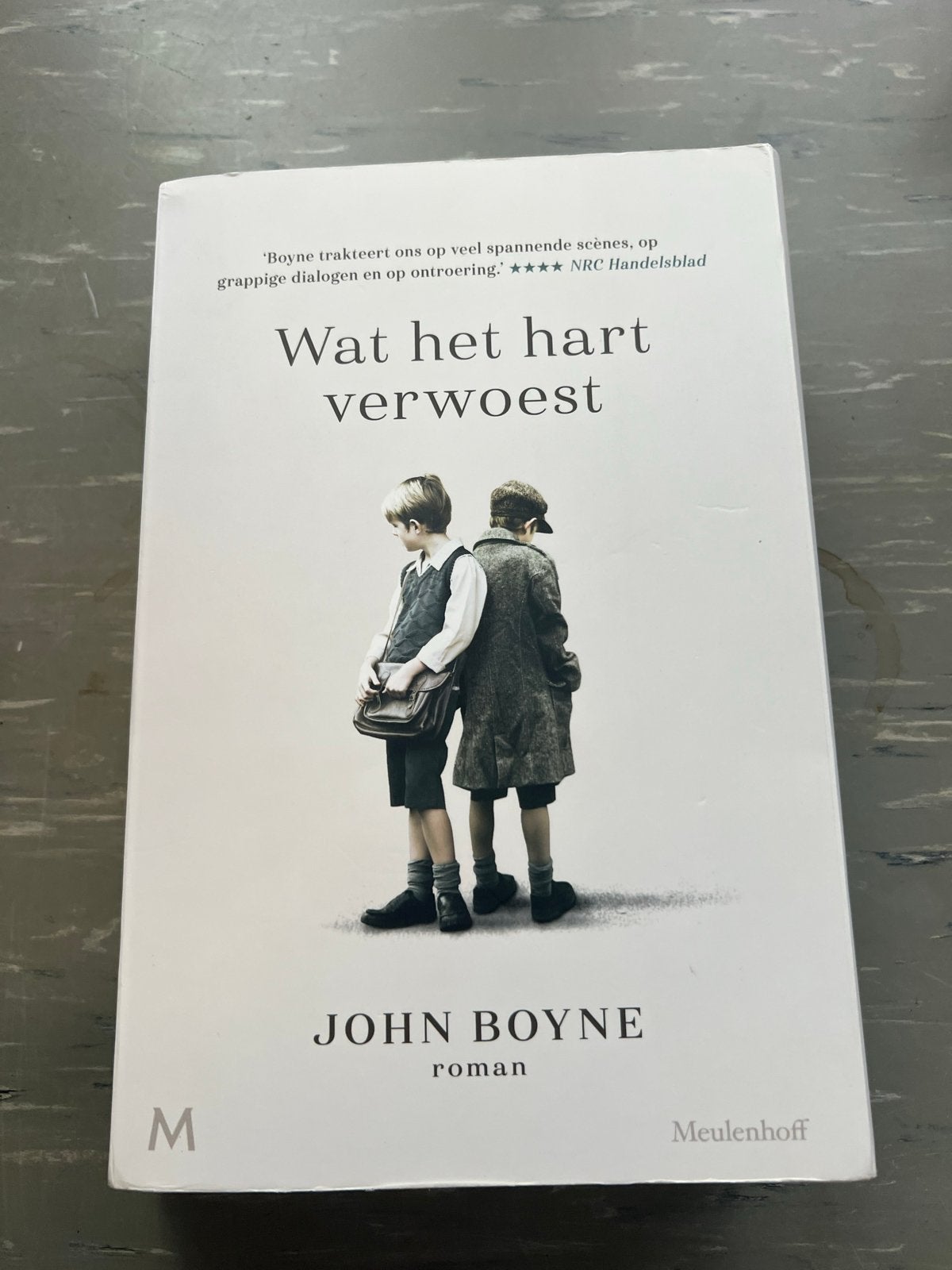 Wat het hart verwoest - John Boyne (roman), Boeken, Ophalen of Verzenden, Zo goed als nieuw, Nederland