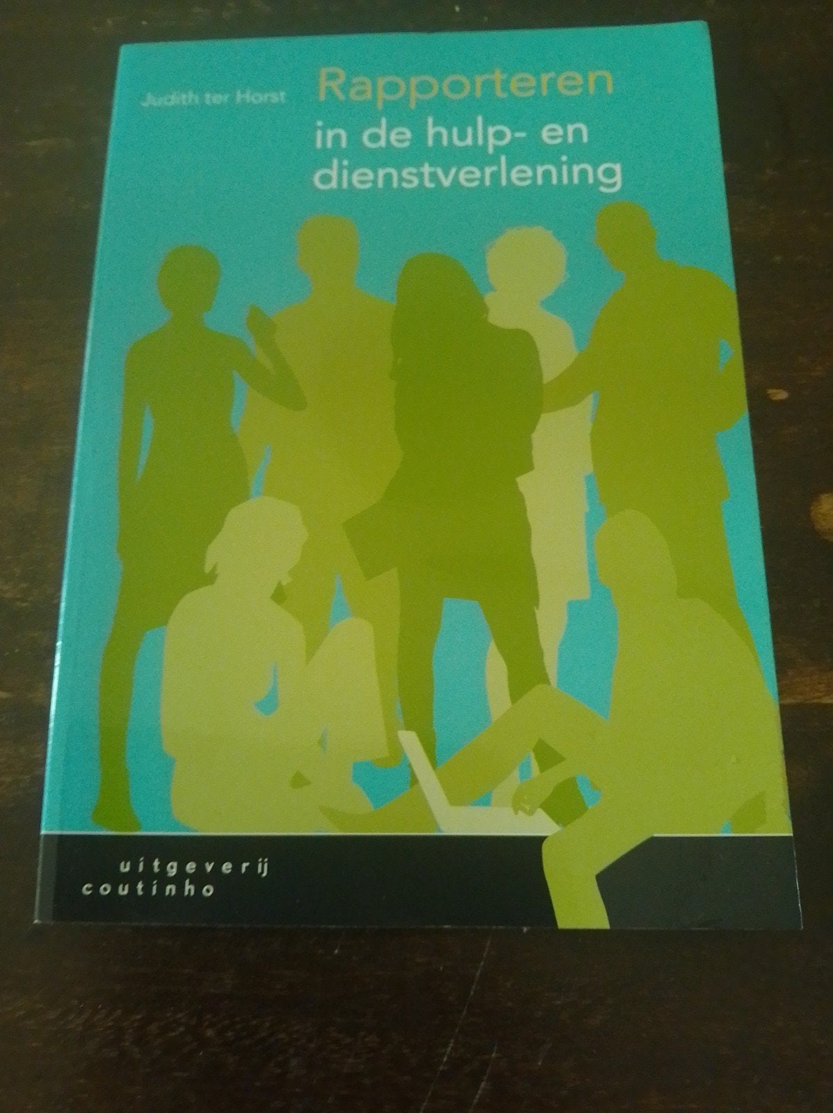 Rapporteren in de hulp- en dienstverlening, Sociale wetenschap, Judith ter Horst, Ophalen of Verzenden, Zo goed als nieuw