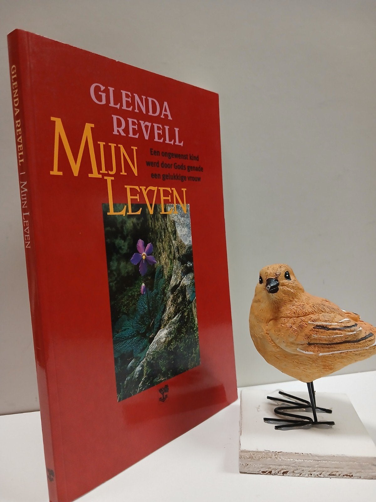 Revell, Glenda; Mijn leven, Ophalen of Verzenden, Gelezen, Christendom | Protestants