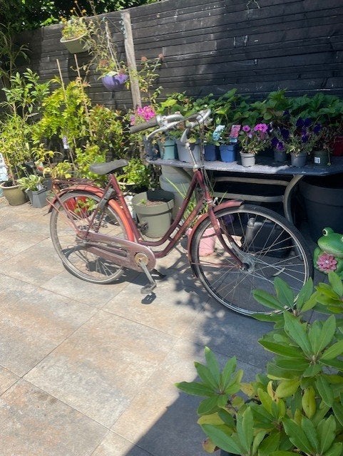 2 Stationsfietsen 25 euro per stuk, Fietsen en Brommers, Fietsen | Dames | Damesfietsen, Gebruikt, Versnellingen, 56 cm of meer