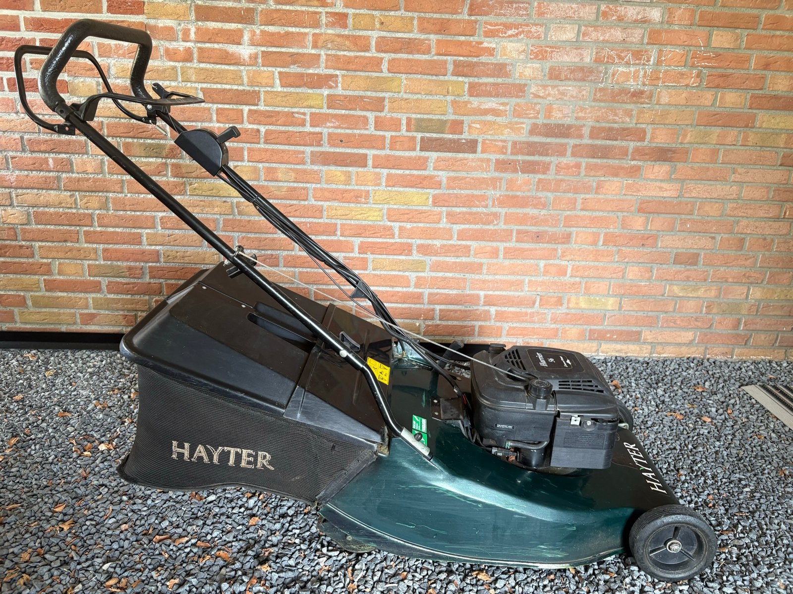 Hayter Harrier 56 Benzine Grasmaaier met Opvangzak, Ophalen, Cirkelmaaier, Gebruikt, 50 cm of meer