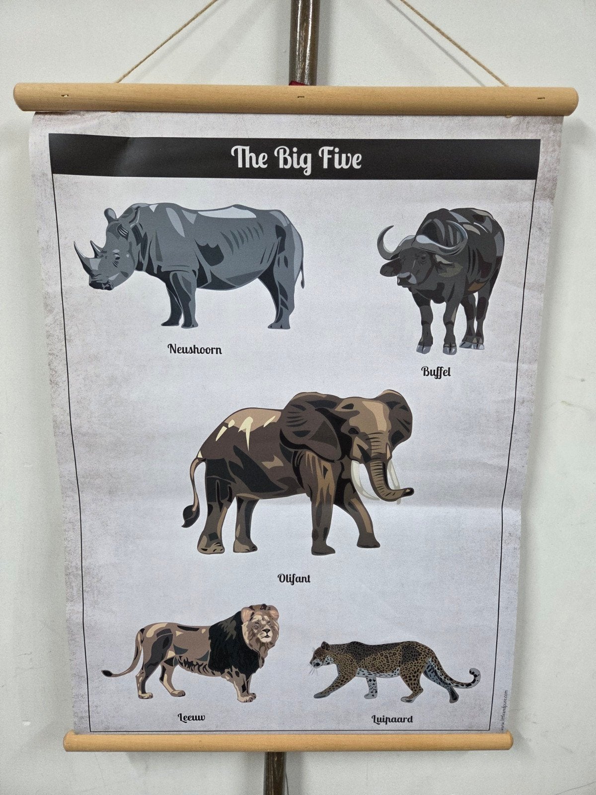 De Big Five & Voetafdrukken Educatieve Posters, Antiek en Kunst, Ophalen of Verzenden