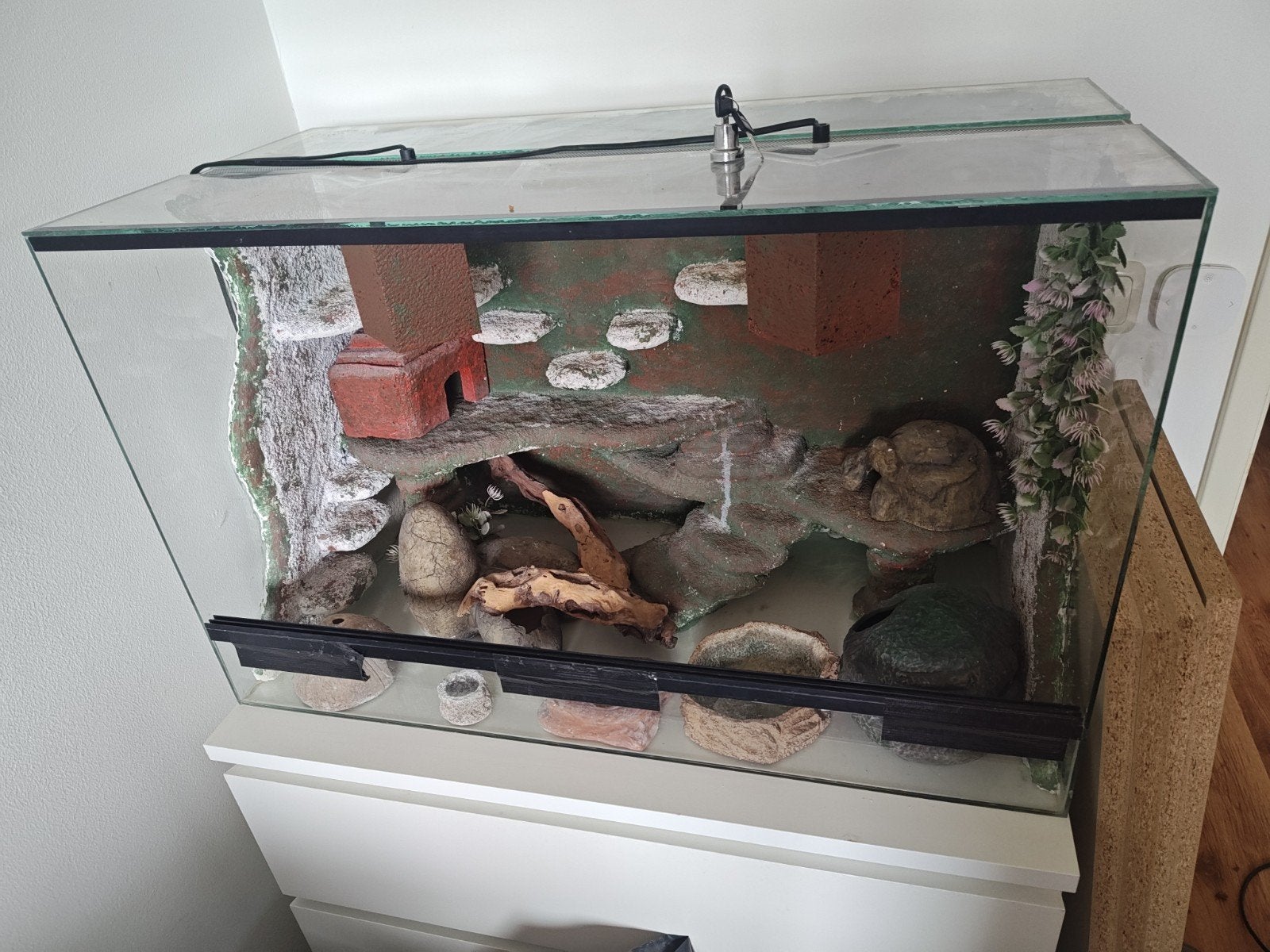 Terrarium, Ophalen