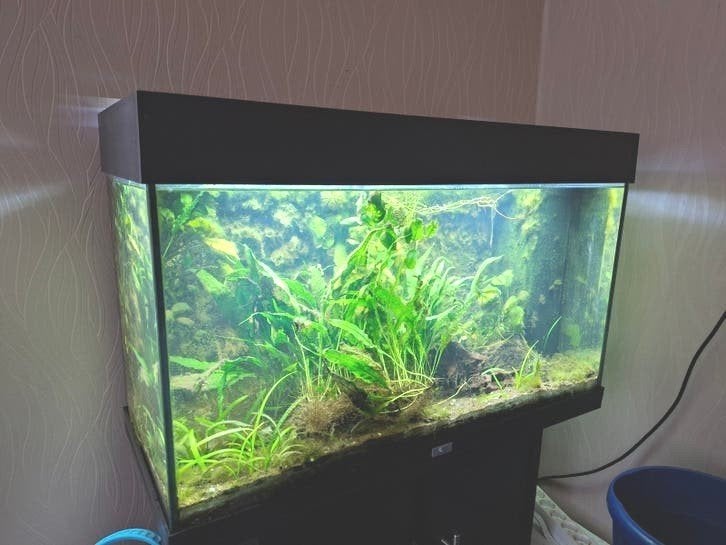Juwel Aquarium Rio, 125 ltr, LED, 80x35x50, Ophalen, Gebruikt, Verwarming, Leeg aquarium