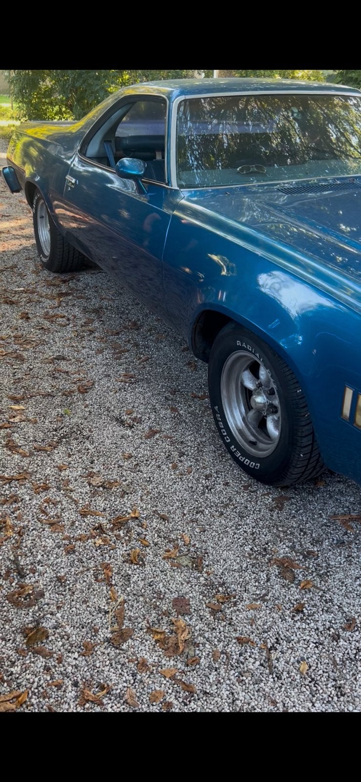 Chevrolet elcamino 383 stroker, foto 12