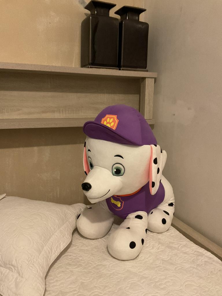 Grote paw patrol knuffel, Ophalen of Verzenden, Zo goed als nieuw, Hond