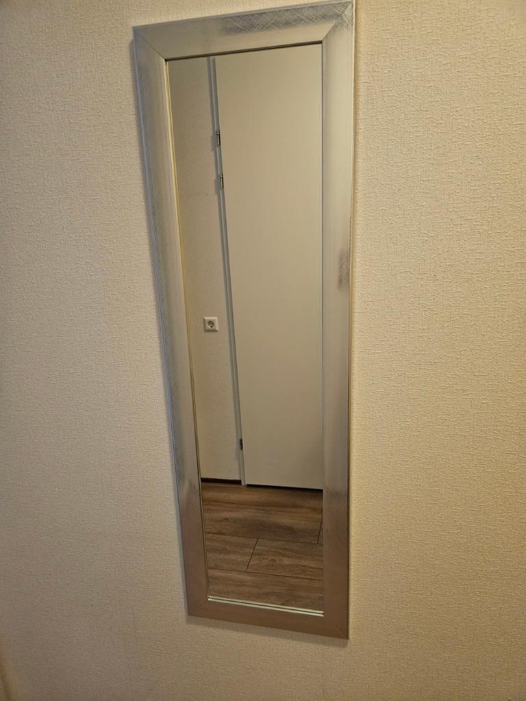 Lange spiegel met zilverkleurige lijst, Huis en Inrichting, Woonaccessoires | Spiegels, Ophalen, Minder dan 50 cm, Gebruikt, 150 tot 200 cm