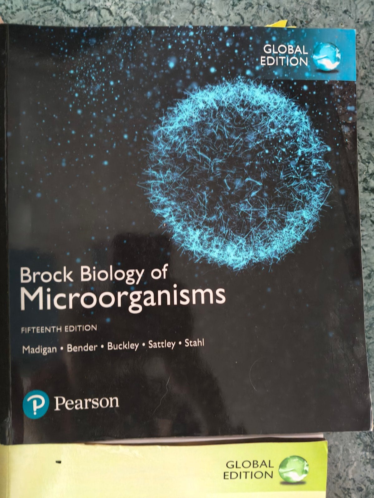 Brock Biology of Microorganisms 15é, Ophalen, David A. StahlKelly S. BenderDaniel H. BuckleyW. Matthew Sattley, Zo goed als nieuw