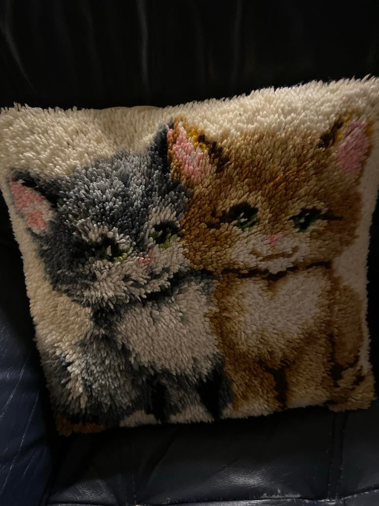 Kussen met katten afbeelding, Huis en Inrichting, Woonaccessoires | Kussens, Ophalen of Verzenden, Zo goed als nieuw, Overige kleuren