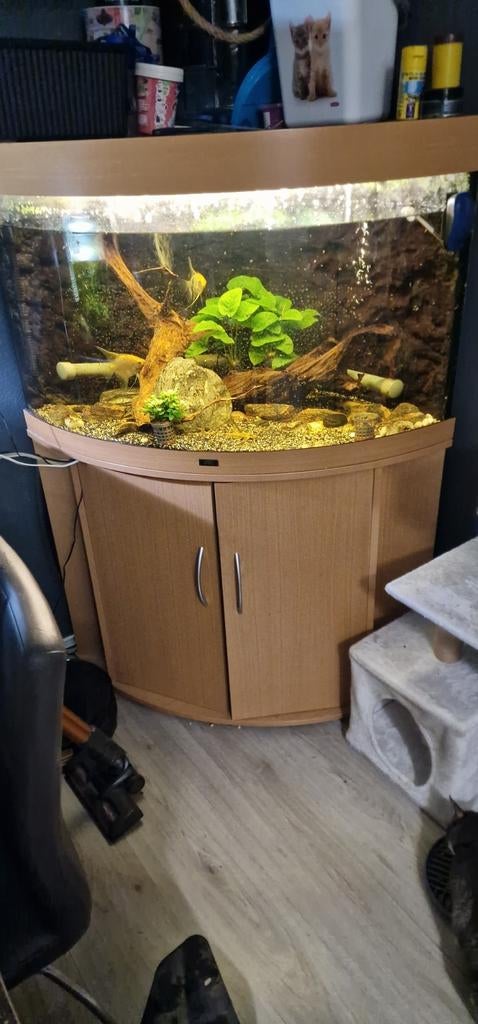2 aquariums diverse vissen/garnalen en meer, Dieren en Toebehoren, Vissen | Aquaria en Toebehoren, Ophalen, Zo goed als nieuw