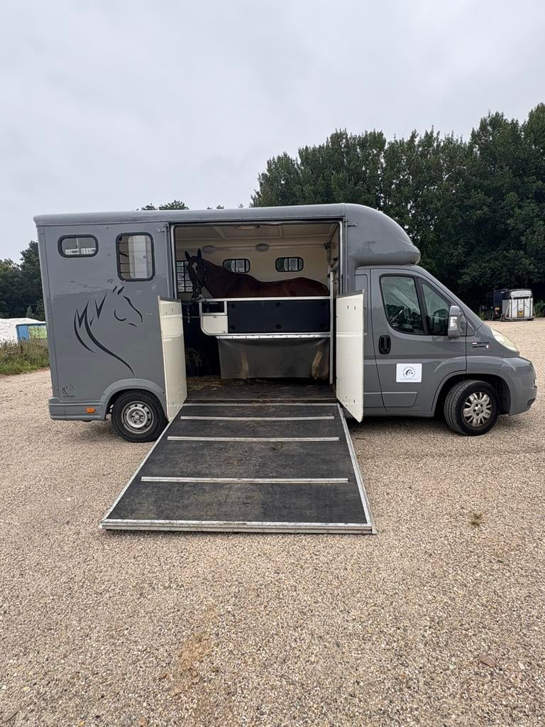 Verhuur paardenwagen Wassenaar -Zuid Holland, Diensten en Vakmensen