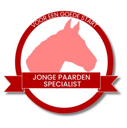 Privé stal Mijdrecht- waar paarden écht paard mogen zijn!, Dieren en Toebehoren, Weidegang, 2 of 3 paarden of pony's