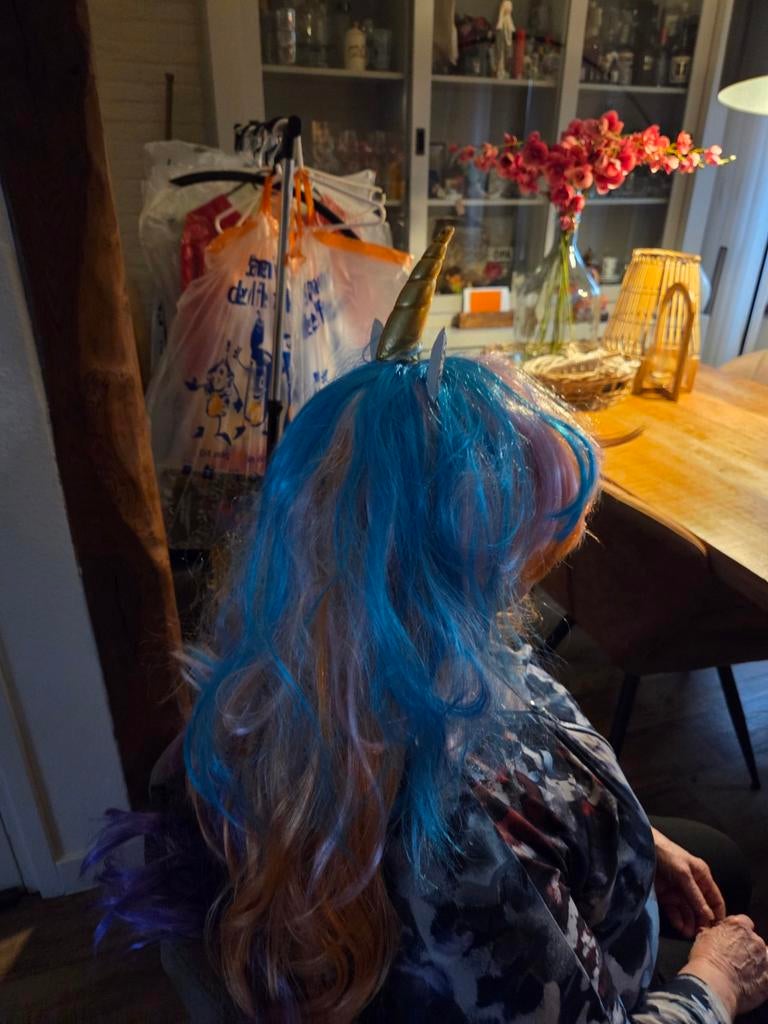 Leuke eenhoorn pruik, Ophalen of Verzenden, Zo goed als nieuw, Carnaval