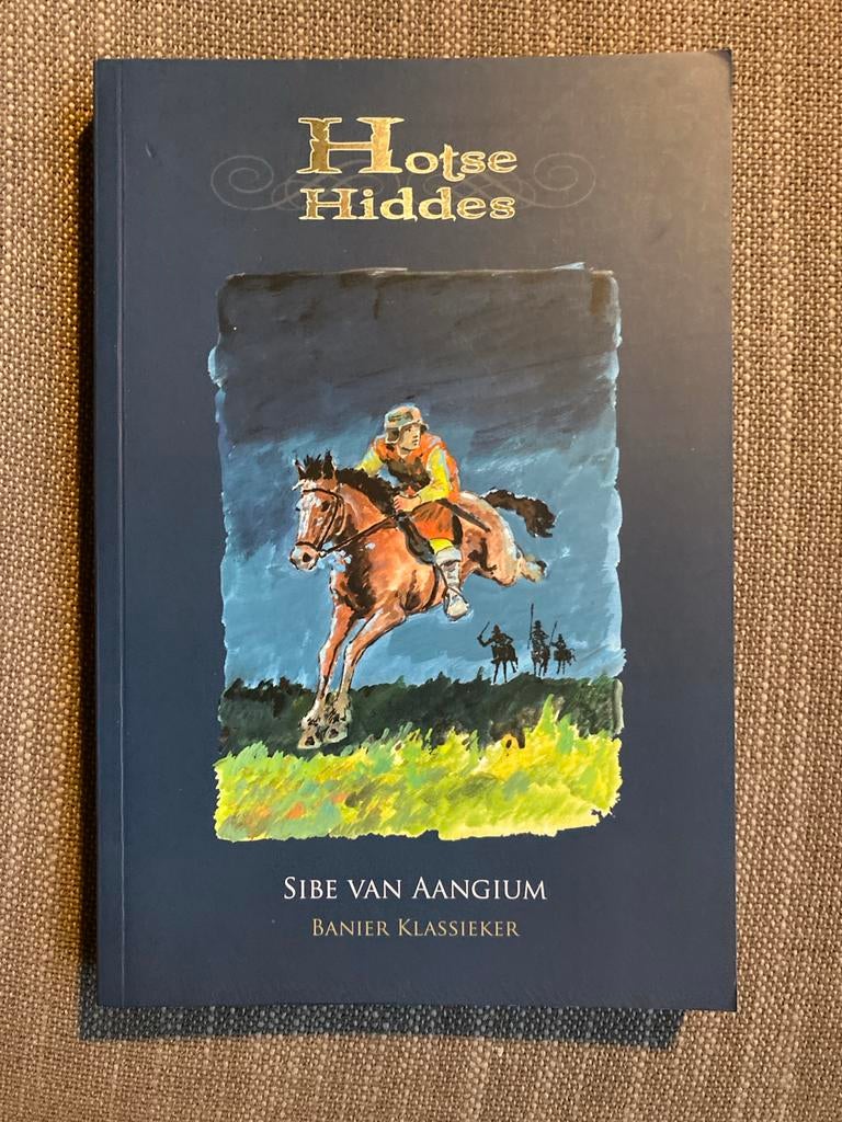 Sibe van Aangium - Hotse Hiddes, Ophalen of Verzenden, Zo goed als nieuw, Sibe van Aangium