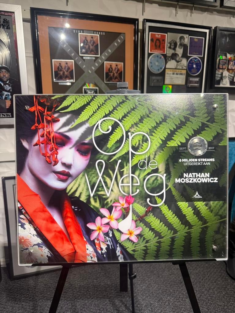 Equalz - Op de weg Platina NVPI Hip Hop Muziek Award, Ophalen of Verzenden, Zo goed als nieuw