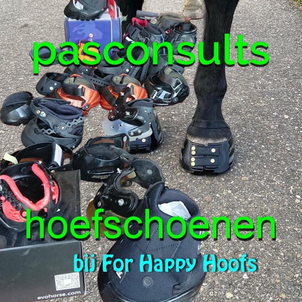 Foto 15 van Natuurlijk Bekapper paarden, Hoefschoenen, Barefoot Trimmer
