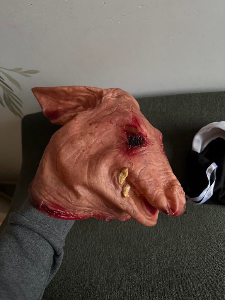 Carnaval masker varken, Ophalen of Verzenden, Zo goed als nieuw, Overige maten