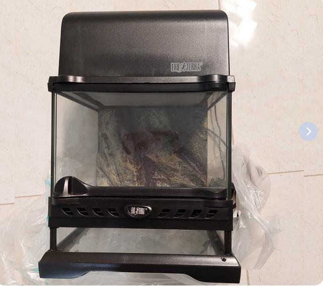 NanoTerrarium, Ophalen, Zo goed als nieuw, Terrarium of Paludarium