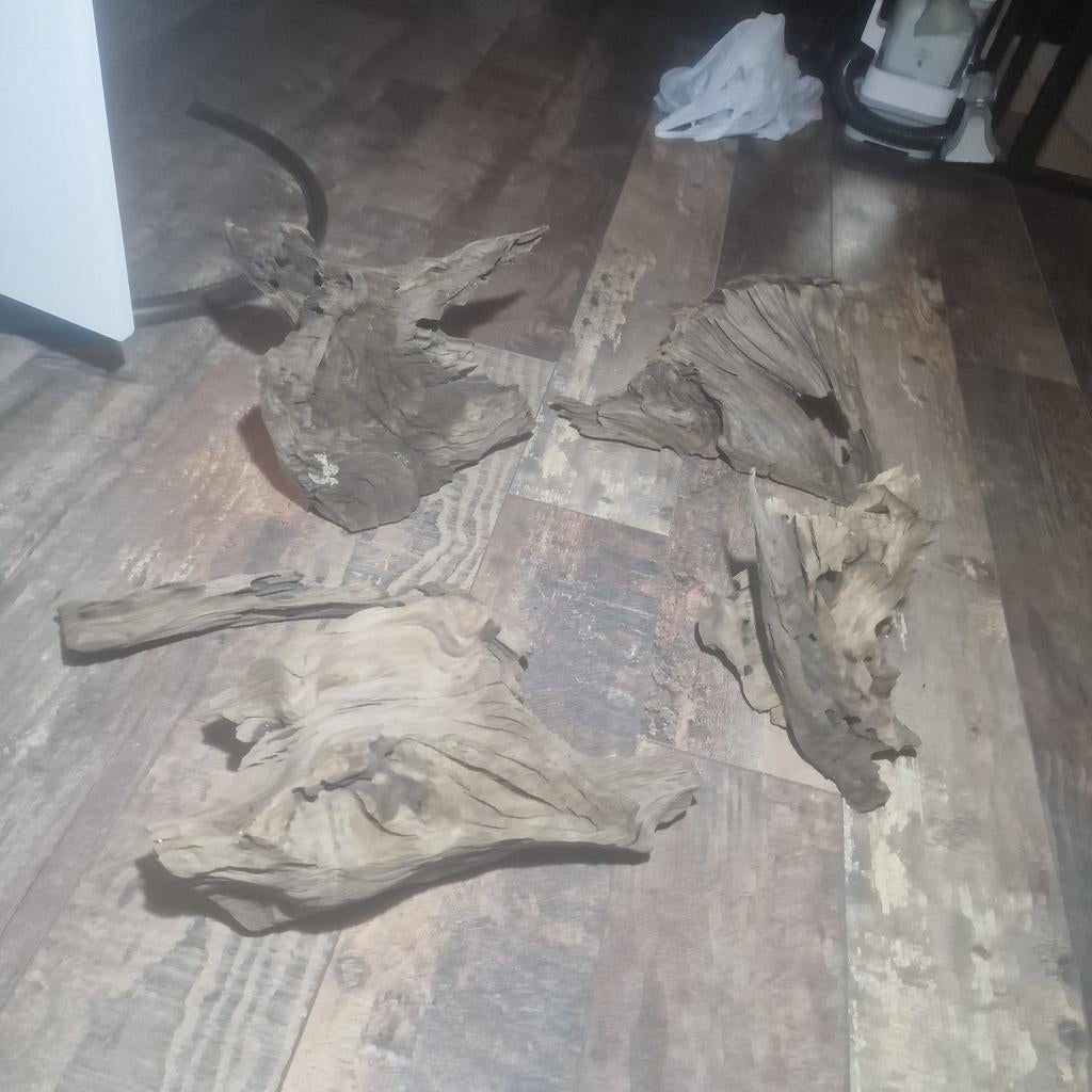 Kienhout, Dieren en Toebehoren, Ophalen