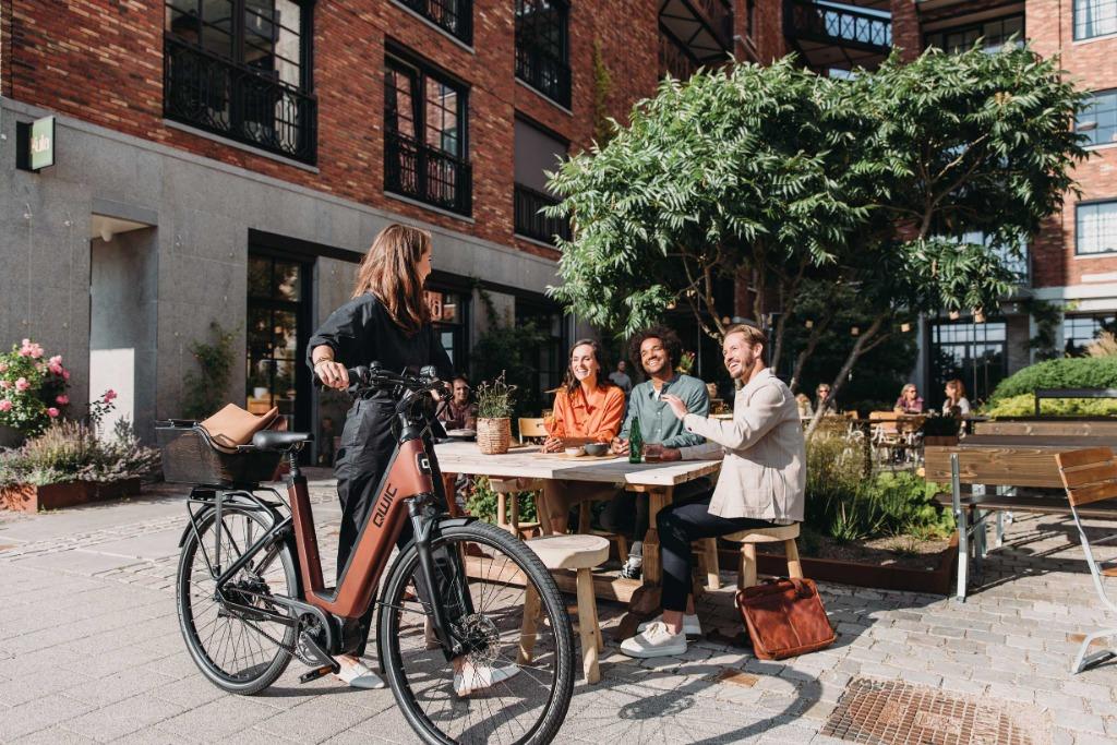 Bij Mooties Qwic E bikes electrische fiets prijzen va € 1799, Ophalen of Verzenden, Nieuw, 50 km per accu of meer, Qwic