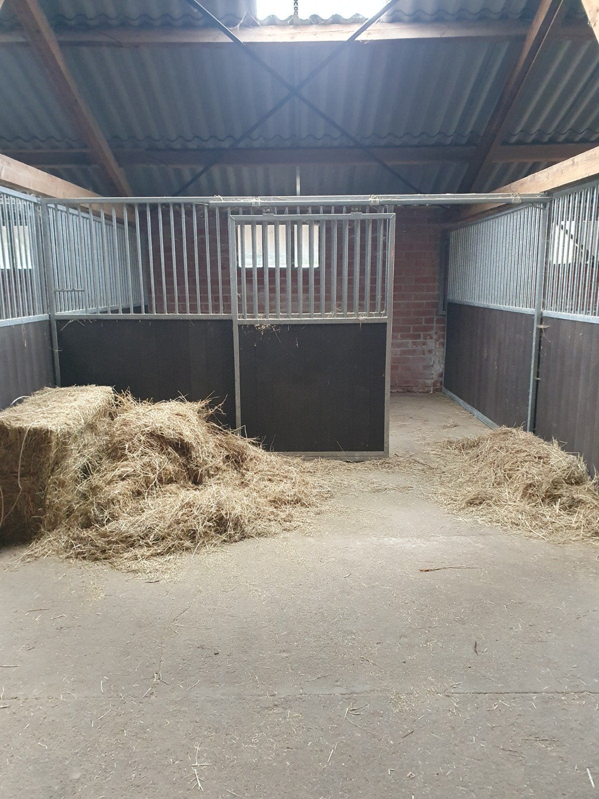 Paardenboxen, Dieren en Toebehoren, Stalling en Weidegang
