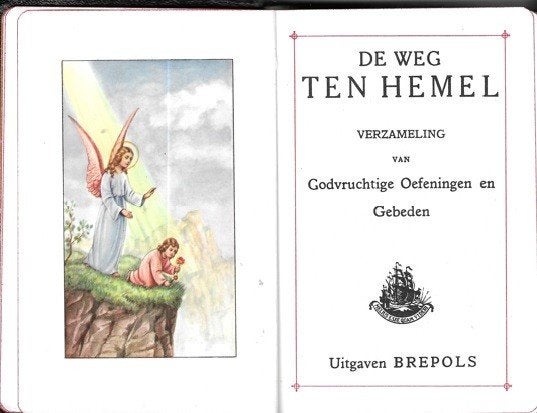Gebedenboek - Katholiek, Ophalen of Verzenden, Gelezen